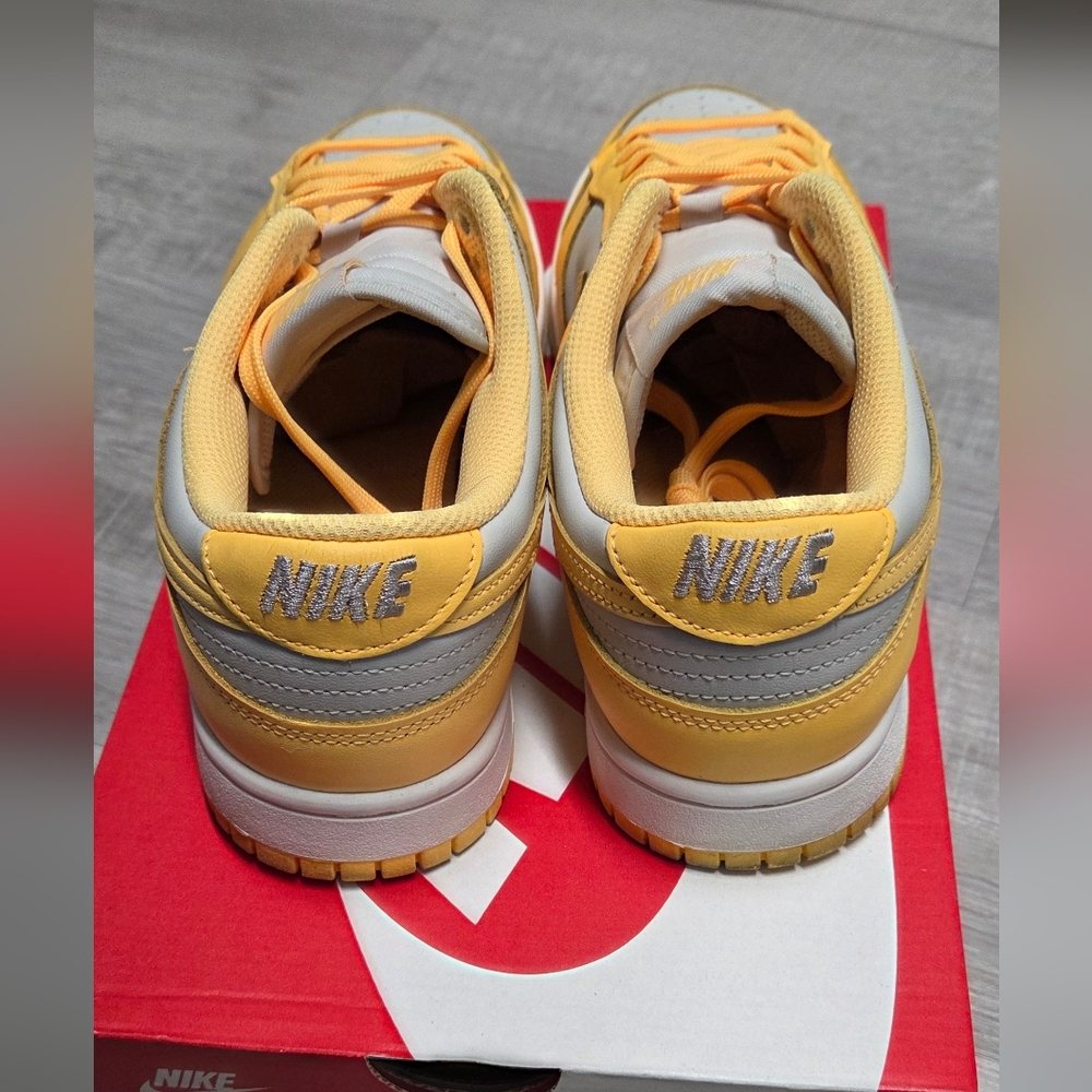 Nike Dunk Pulse - Picture 4 of 5